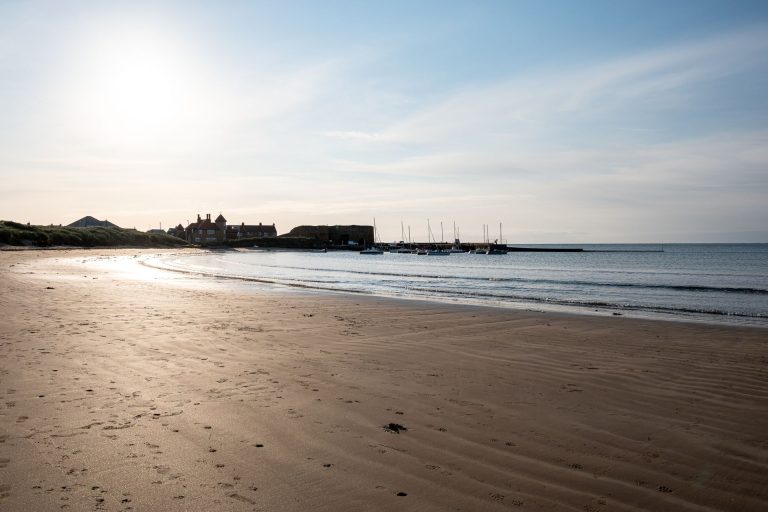 Sandy Toes Beach