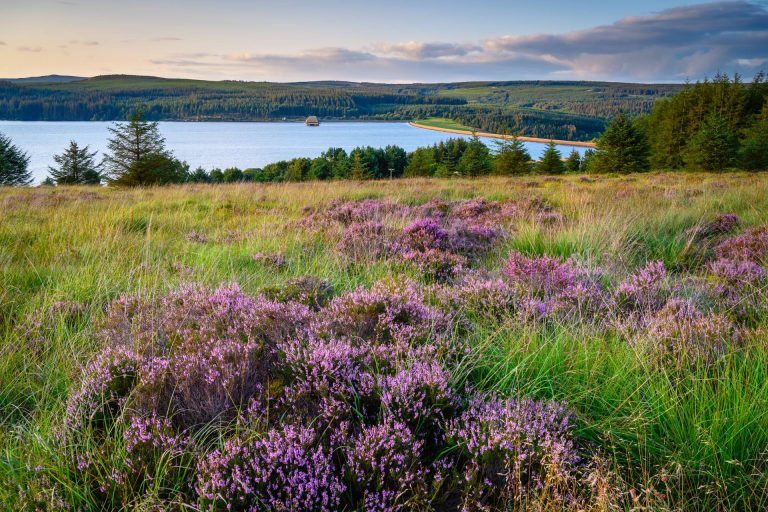 Kielder National Park