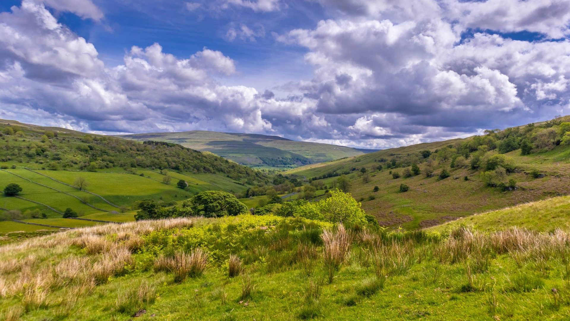 Yorkshire Dales